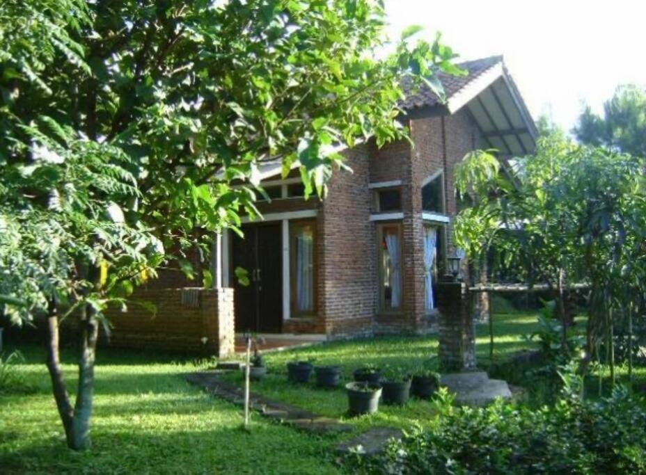 Villa Naumi 반둥 외부 사진